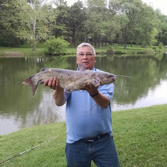 Meet your Posher, Richard - Picture 1 of 1